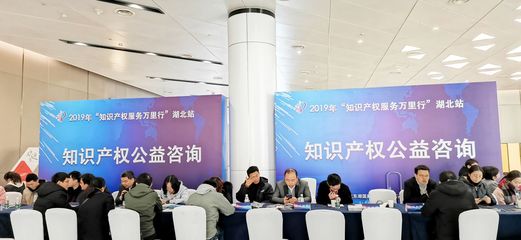 优化营商环境，打造知识产权高地——2019年“知识产权服务万里行”湖北站全记录
