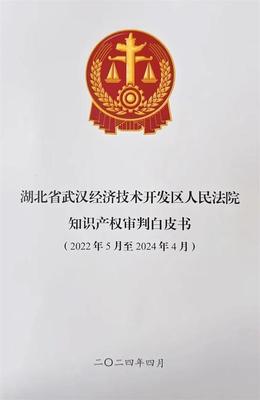 武汉经开法院发布首份知识产权审判白皮书
